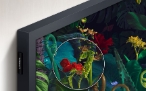 QLED prikazuje skupino flamingov v vodi, da pokaže sijaj senčenja barv tehnologije Quantum Dot.