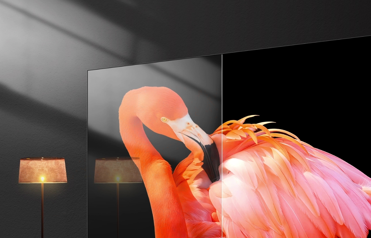 Hisense Anti-Reflection & Glare-Free zaslon